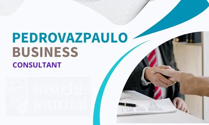 PedroVazPaulo Business Consultant: Delivering Results-Driven Solutions