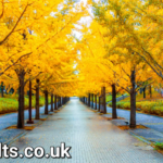 Yellow Spring Road: A Journey Through Nature’s Golden Path