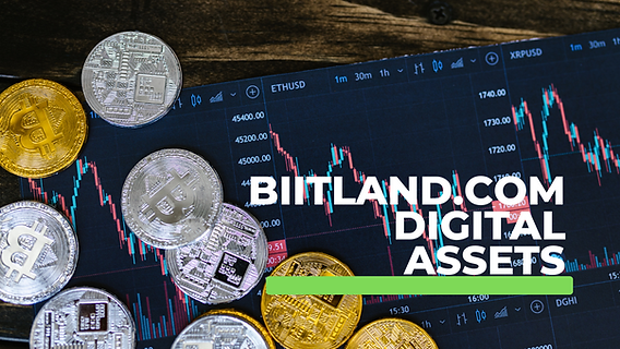 Biitland.com Digital Assets: The Future of Secure and Efficient Asset Management