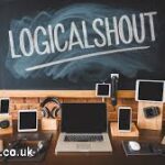 Insights LogicalShout: How to Leverage Data for Smarter Decisions