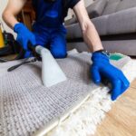 Factors to Consider When Choosing a Professional Carpet Cleaning Company
